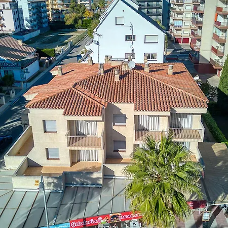 Mismar-9 By Interhome Roses